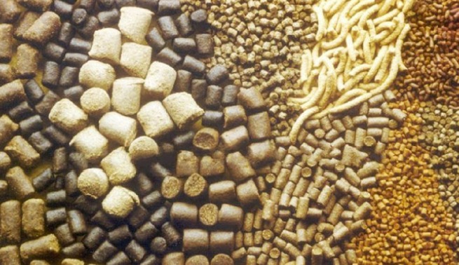 Harinas y alimento balanceado